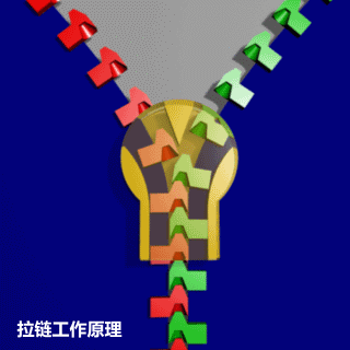 ҊC(j)еԭӮ3DDƬչʾ{my:seotitle}