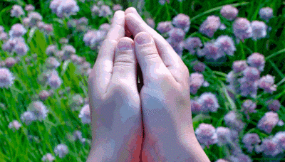 Ĵ