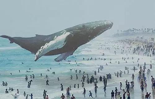 ,,3DȫϢӰ,Magic Leap,ȸ,΢ܛDƬ